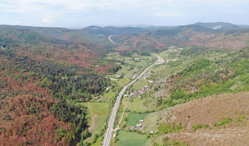 Niğde’de bazı alanlar orman sınırları dışına çıkarıldı