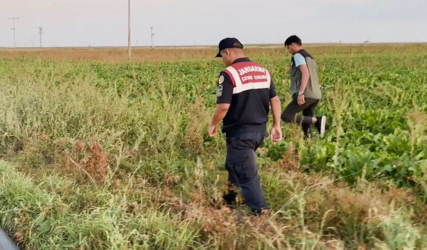 Kaçak avcılar jandarmanın ağına takıldı