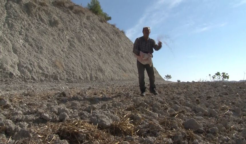 Gelenekten geleceğe: Ata tohumları verimli topraklarla buluşuyor