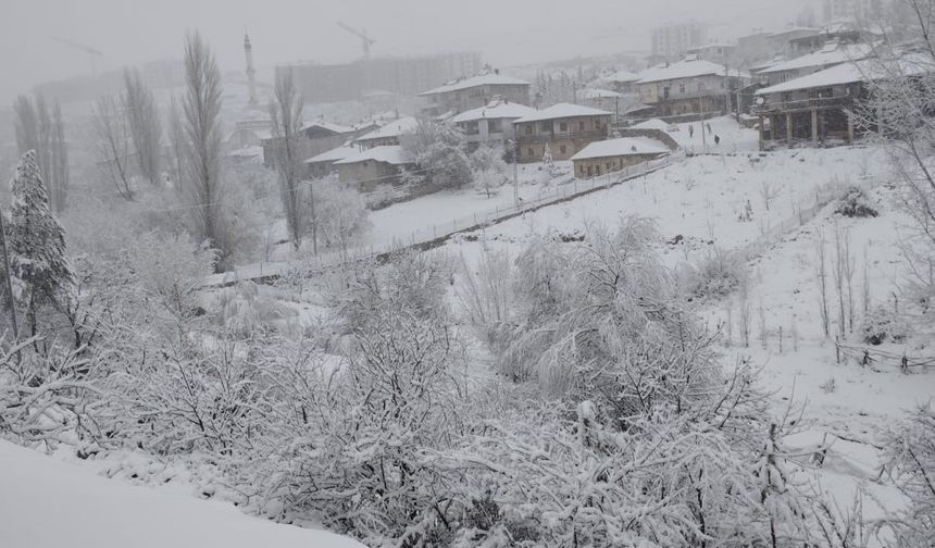 Yağmur ve kar çiftçiyi sevindirdi