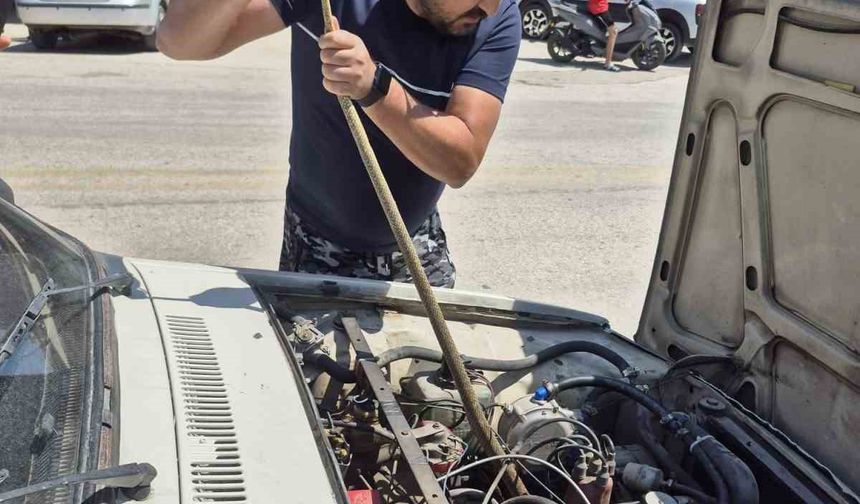 Aracın motoruna yılan girdi elindeki sopayla çıkardı