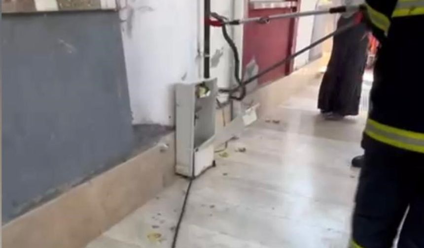 Doğal gaz kutusuna yılan girdi