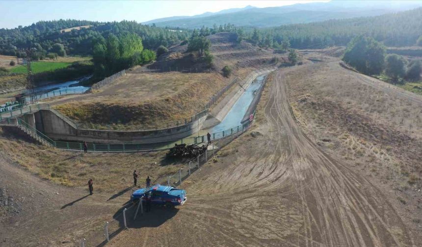 Kaybolan keçileri jandarma buldu