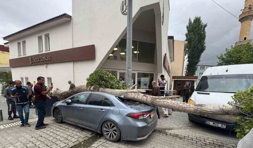 Ağaç devrildi araç hasar gördü