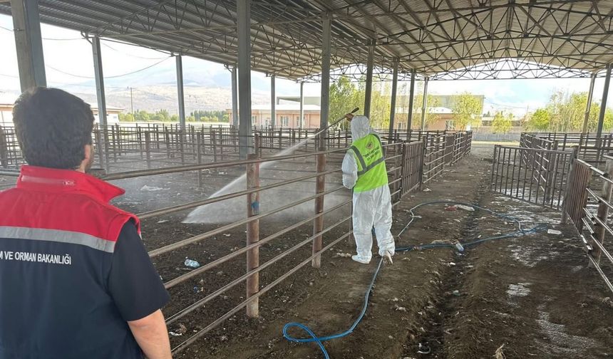 Açılan hayvan pazarı 2 hafta sonra tekrar kapatıldı