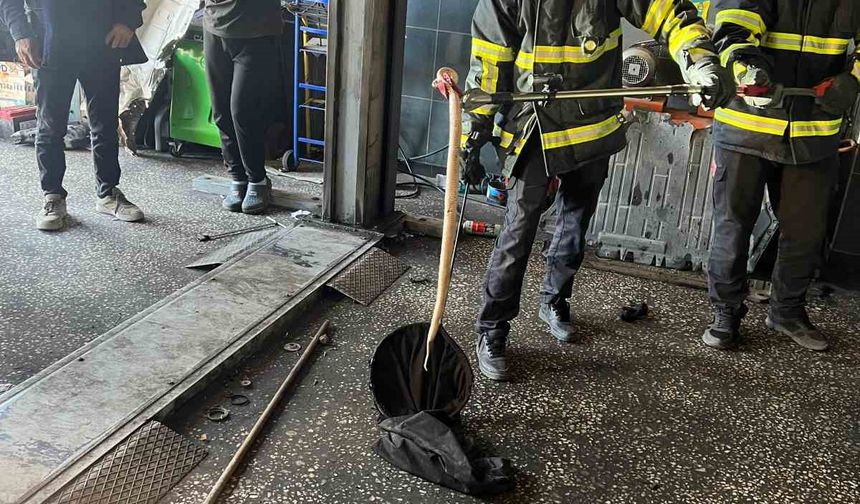 Otomobilin motoruna giren yılan itfaiyeyle ekiplerince çıkartıldı