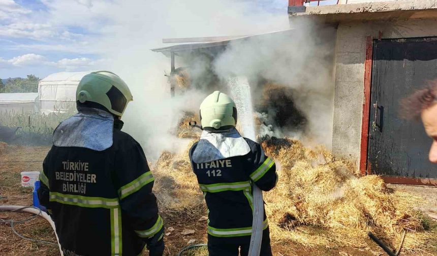 Ot balyaları yandı