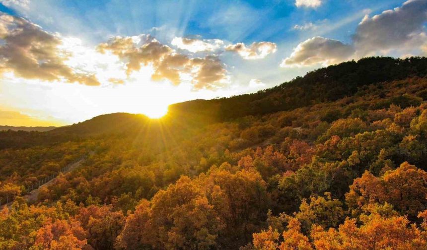 Hazan mevsimi güzelliği