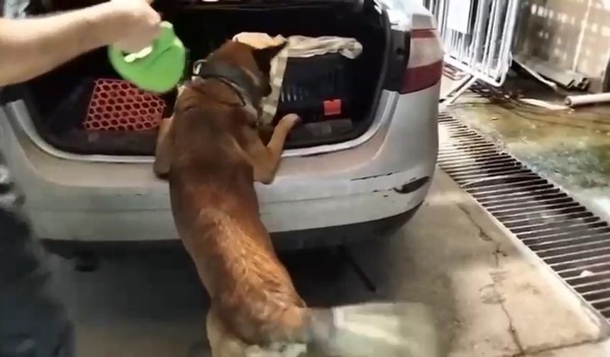 Kedi taşıma çantasında 2 kilo uy*uşturucu ele geçirildi