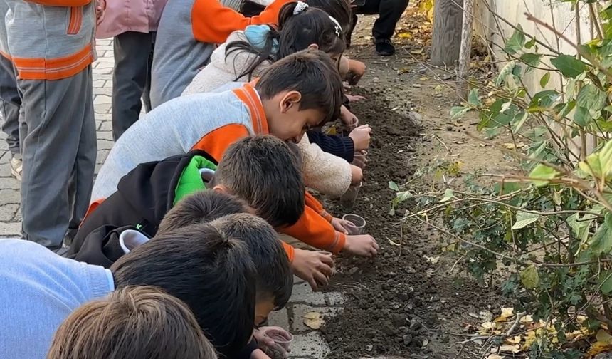 Ata tohumları toprakla buluştu
