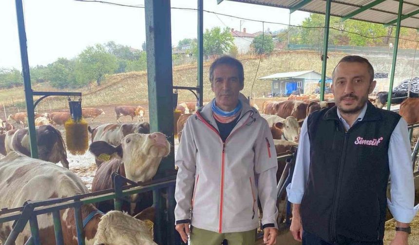 Yapay zeka süt hayvancılığında çığır açtı