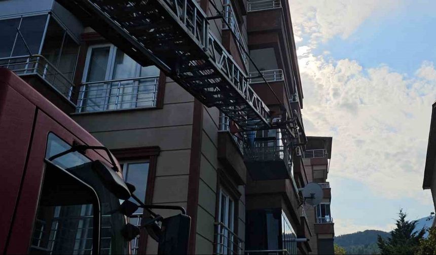 Yaşlı kadın evinde ölü bulundu