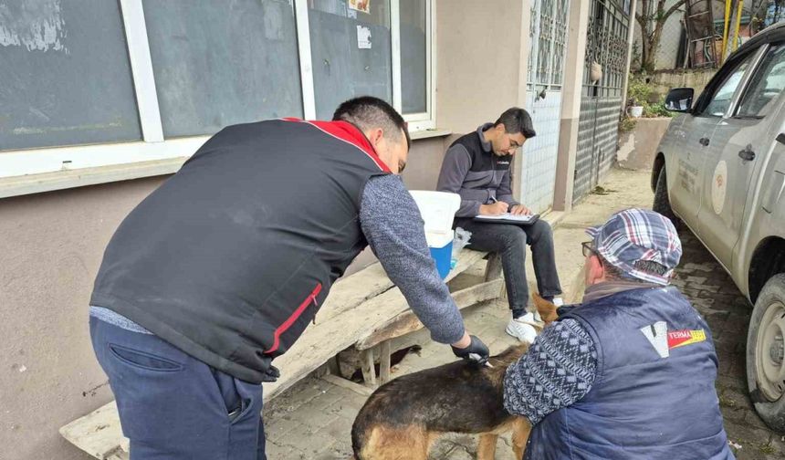 Dijital kimliklendirmede son tarih 31 Aralık 2025