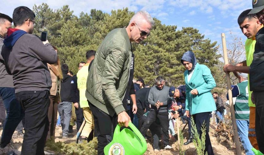 ‘Milli Ağaçlandırma Günü’nde 5 bin fidan toprakla buluşturuldu