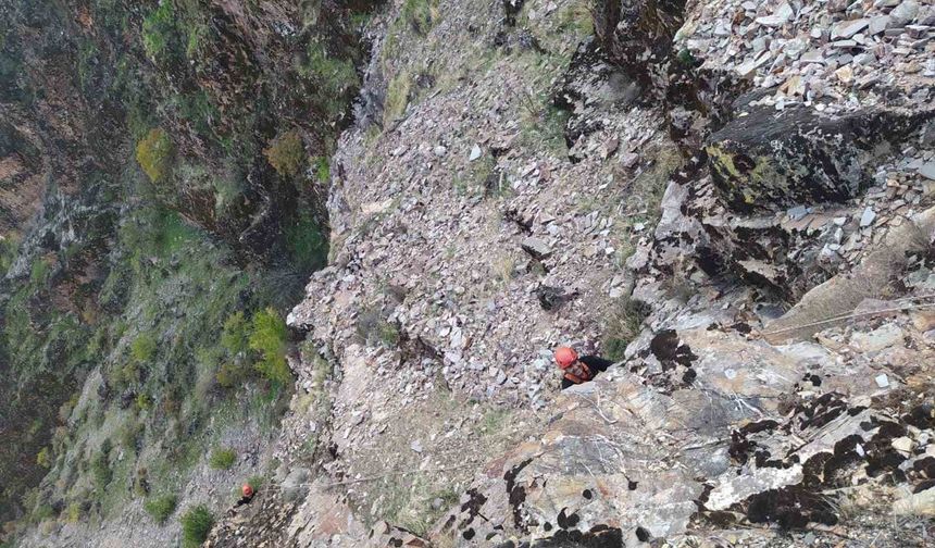 Kayalıklarda mahsur kalan keçiler kurtarıldı