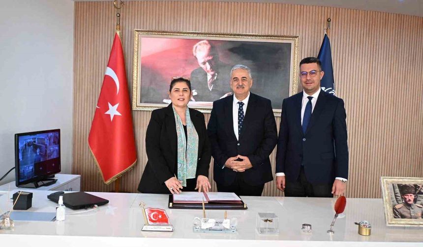 Sokak hayvanları için doğal yaşam alanı oluşturulacak