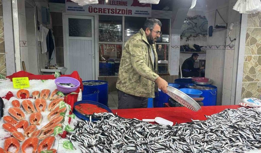 Balık pazarında en çok hamsi ilgi görüyor