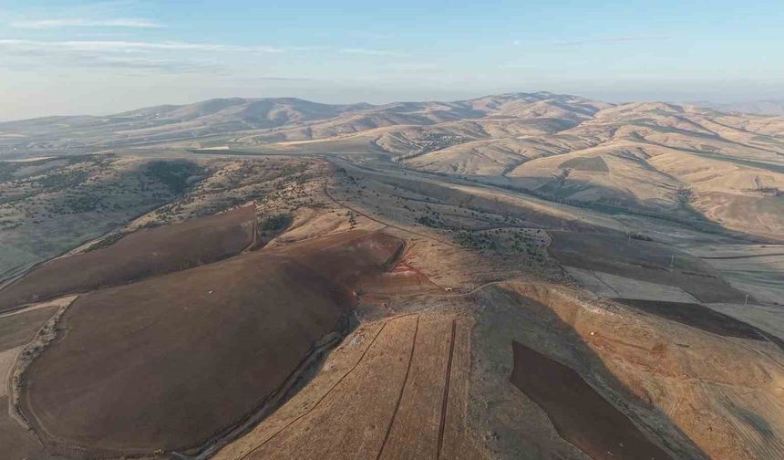 Yüzlerce ağacın kesilmesine vatandaşlardan tepki