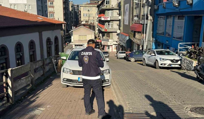 Gelişi güzel parklara cezai işlem