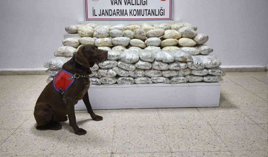 60 kilo uyuştu*rucu ele geçirildi