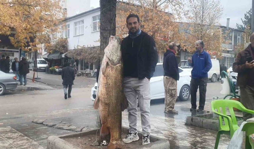 60 kiloluk turna balığı yakalandı