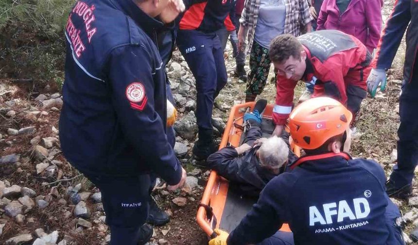 Hayvan otlatırken kayalıklardan düştü