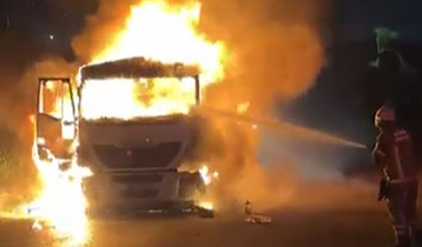 Kömür yüklü tır alev aldı