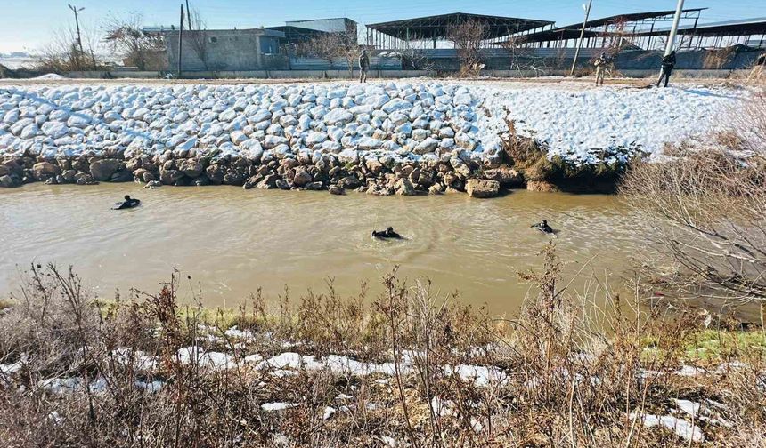 Kayıp sürücüyü arama çalışması devam ediyor