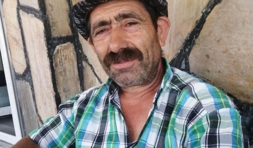 Komşusuna ağaç kesiminde yardım ederken hayatını kaybetti