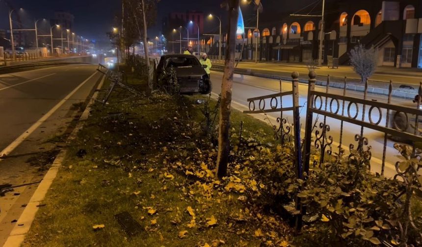 Köpeğe çarpmamak için manevra yapan sürücü refüje çıktı