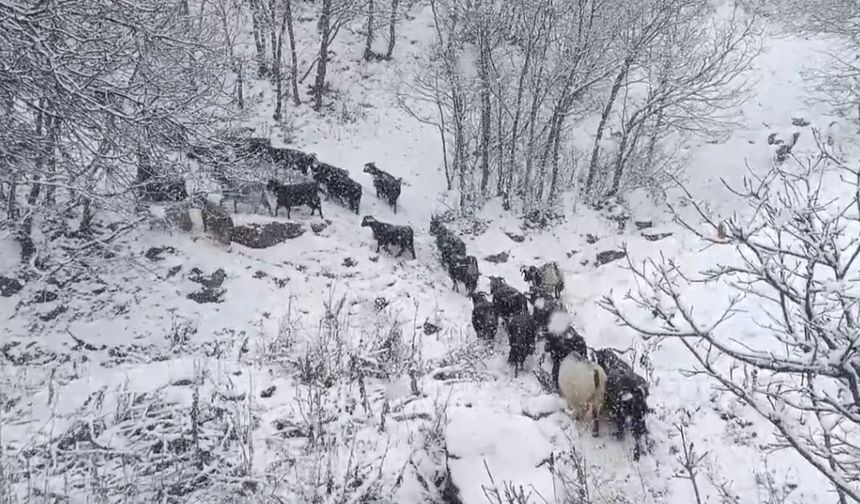 Yüksek rakımlı köylerde kar etkili oldu