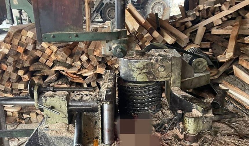 İş kazası: Elini hızar makinesine kaptırdı