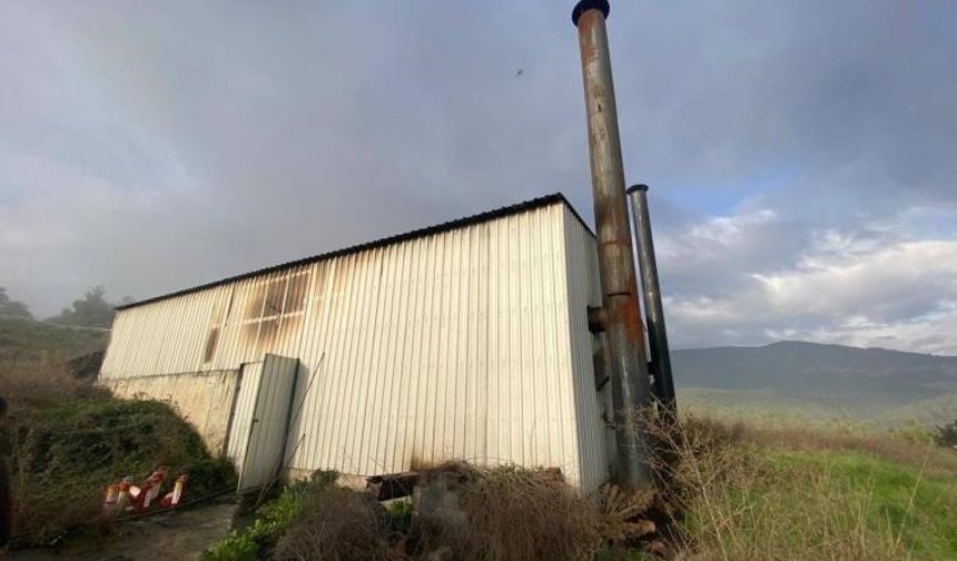 Tavuk çiftliğinde çıkan yangın korkuttu