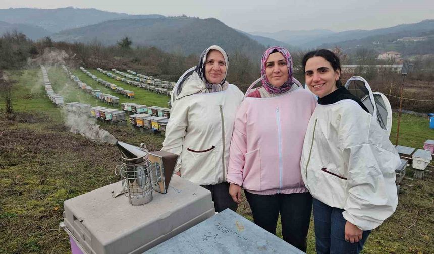 Anne ve kızları arıcılık mesleğiyle kestane balı üretiyor