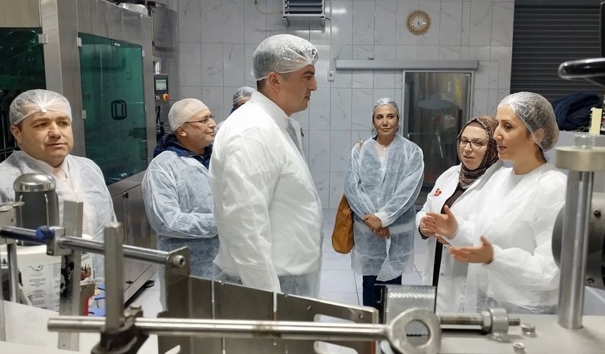 Sirke üretimine hibe destekli yatırım