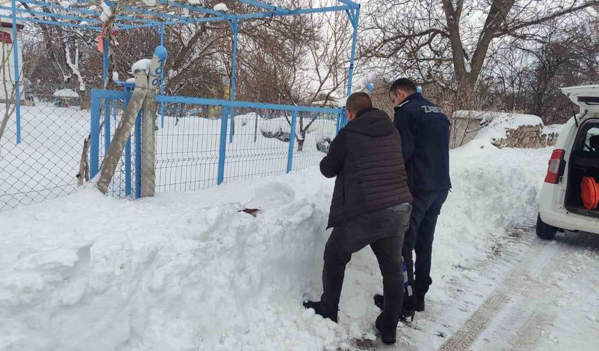 Sokak hayvanlarına mama desteği