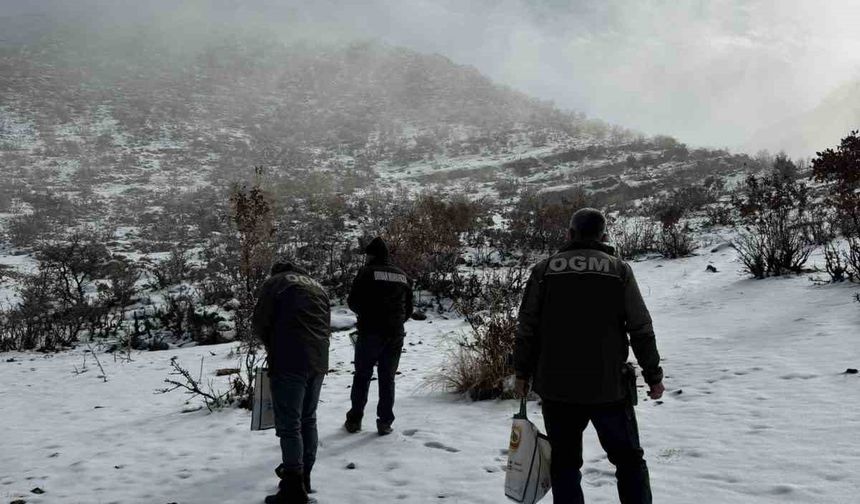 Dondurucu soğuklarda yaban hayata umut oldular