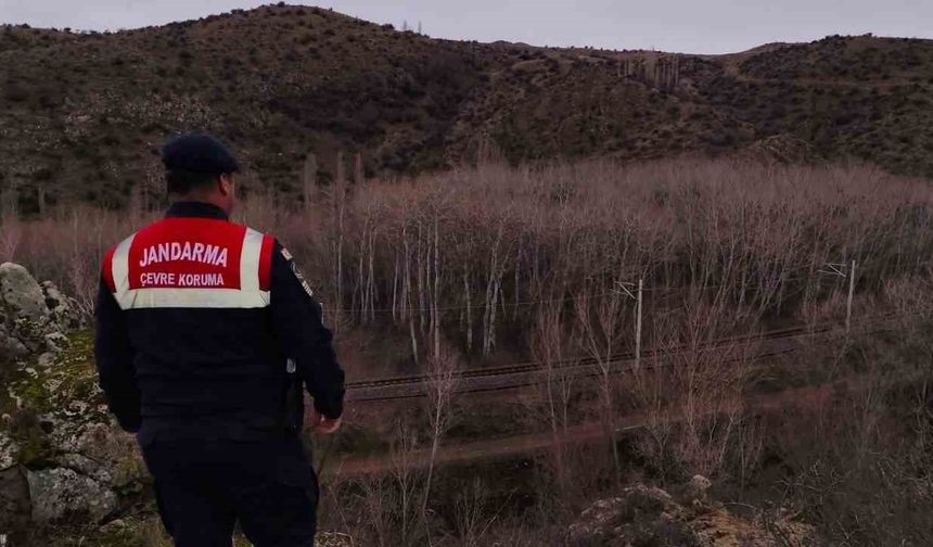 Jandarma ekipleri doğadaki canlıları unutmadı