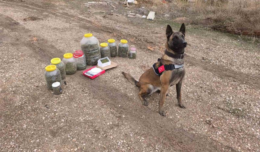 Uyuş *turucu operasyonu: 1 gözaltı