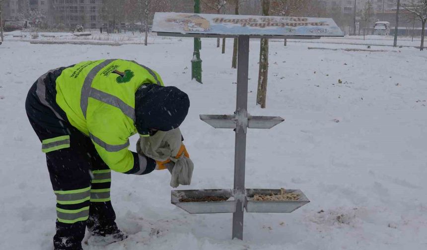 Sokak hayvanları unutulmadı