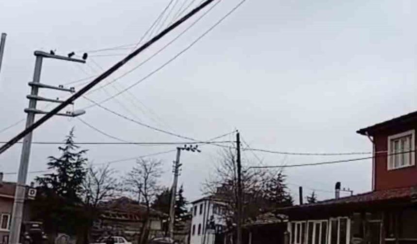 Dev bayrak direği elektrik tellerinin üzerine devrildi