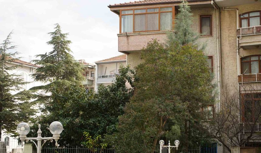 Şiddetli rüzgar hayatı olumsuz etkiledi, bazı ağaçlar devrildi