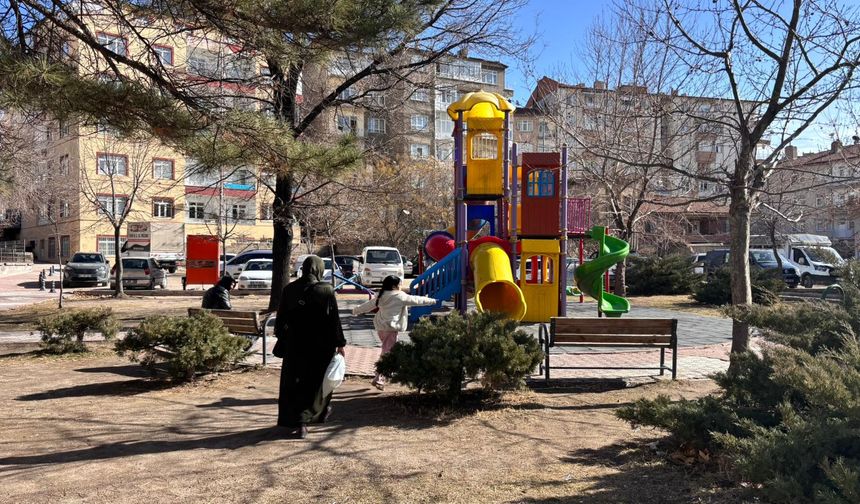 Niğde’de kış ortasında sonbahar havası