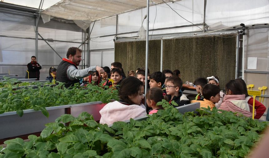 Öğrenciler patates üretimini öğrendi