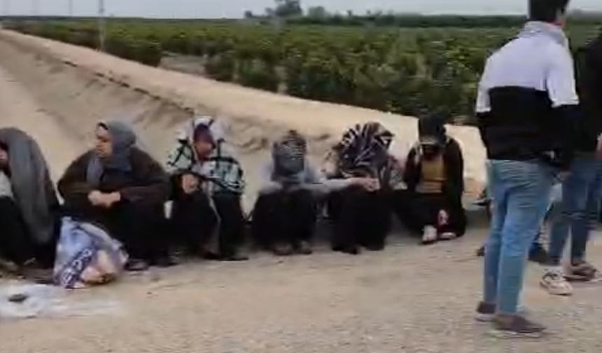 Adana'da trafik kazası: 1'i ağır 7 tarım işçisi yaralandı