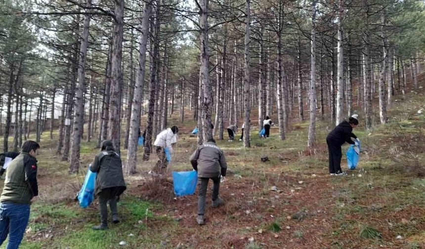 Orman yangınlarına karşı örnek çalışma