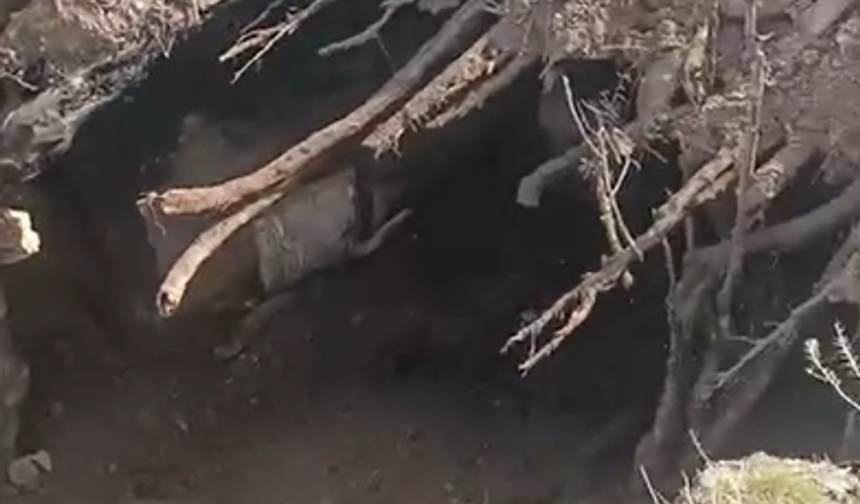 Yağış sonrası Çınarlı’da evler çöktü