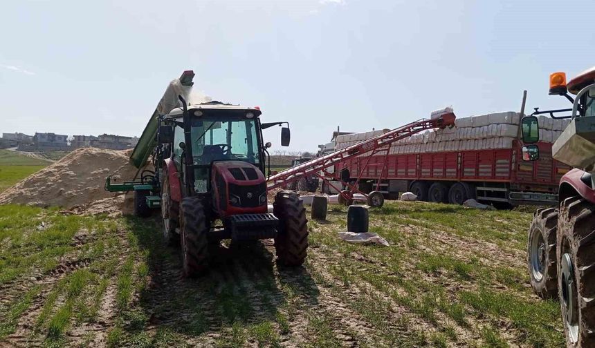 Silahla oynayan kişi kazara kendini vurdu