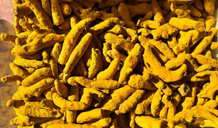 Niğde’de altın renkli şifa