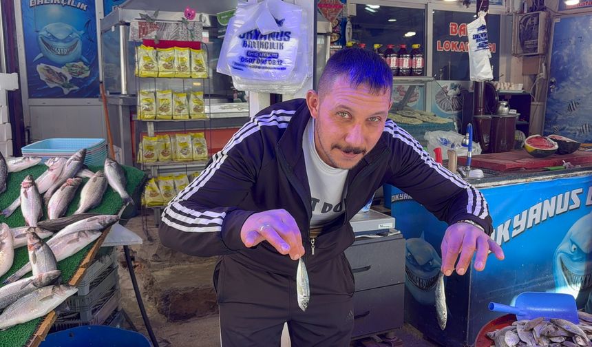 Niğde’de balık tüketiminde istavrit öne çıktı